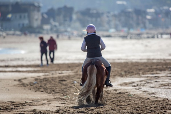 Villers-sur-Mer, chevaux et poneys sur la plage