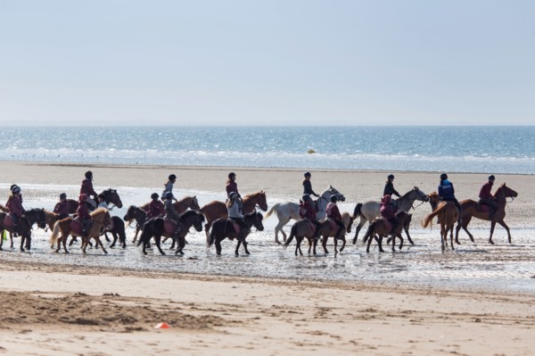 Villers-sur-Mer, chevaux et poneys sur la plage