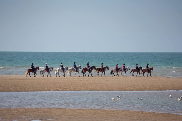 Villers-sur-Mer, chevaux et poneys sur la plage