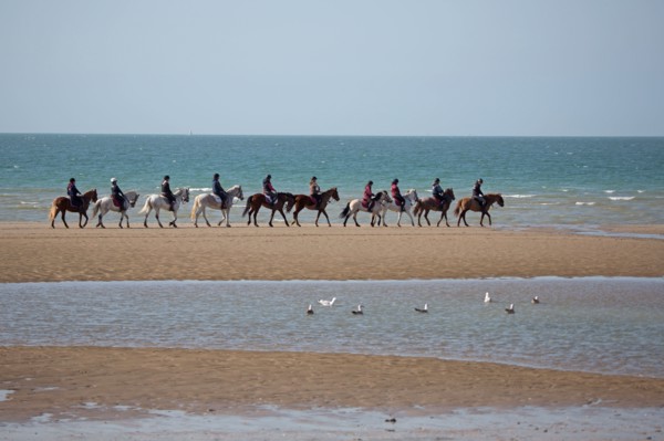 Villers-sur-Mer, chevaux et poneys sur la plage