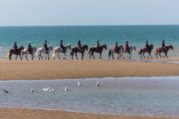 Villers-sur-Mer, chevaux et poneys sur la plage