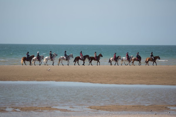 Villers-sur-Mer, chevaux et poneys sur la plage