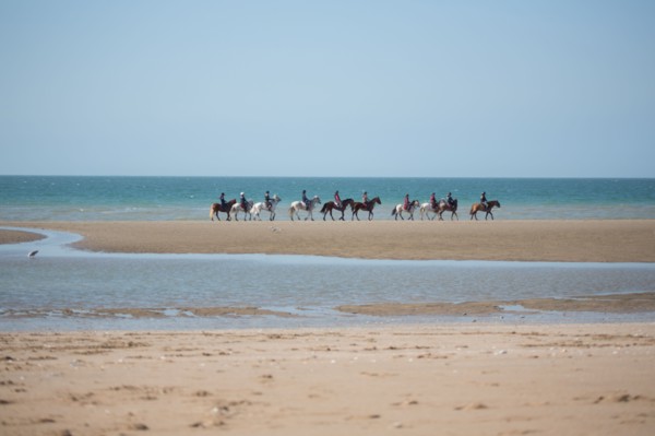 Villers-sur-Mer, chevaux et poneys sur la plage