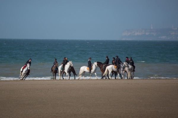 Villers-sur-Mer, chevaux et poneys sur la plage