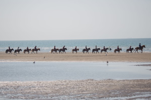 Villers-sur-Mer, chevaux et poneys sur la plage