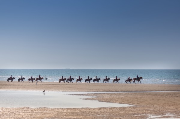 Villers-sur-Mer, chevaux et poneys sur la plage