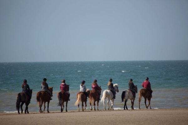 Villers-sur-Mer, chevaux et poneys sur la plage
