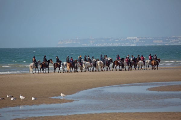 Villers-sur-Mer, chevaux et poneys sur la plage
