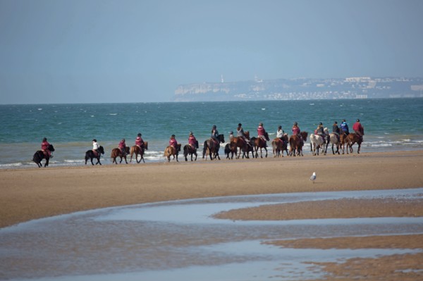 Villers-sur-Mer, chevaux et poneys sur la plage