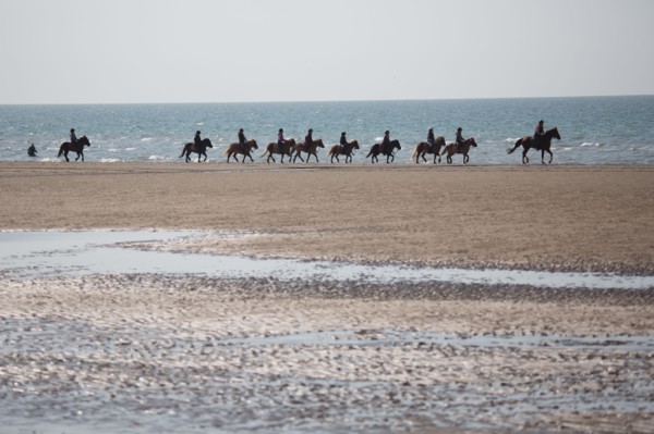 Villers-sur-Mer, chevaux et poneys sur la plage