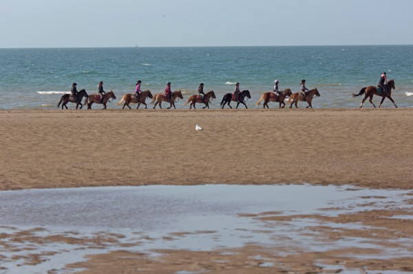 Villers-sur-Mer, chevaux et poneys sur la plage