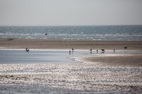 Villers-sur-Mer, villas du front de mer