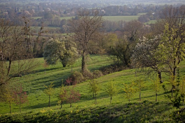 Beaumont-en-Auge, Normandie