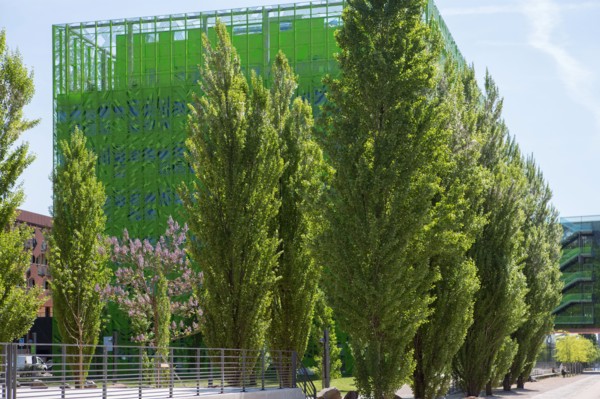 Lyon, Immeuble "Le Cube Vert" dans le quartier Confluence