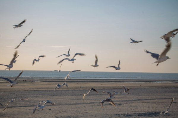 Berck Plage