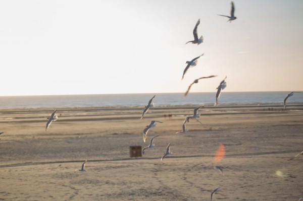 Berck Plage