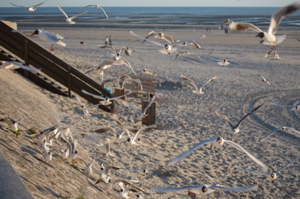 Berck Plage