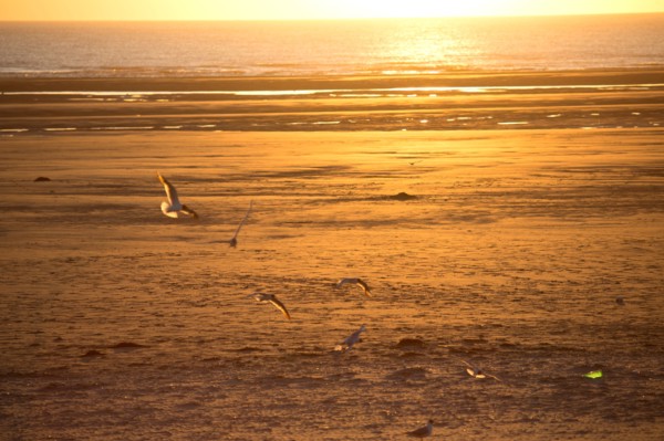 Berck Plage