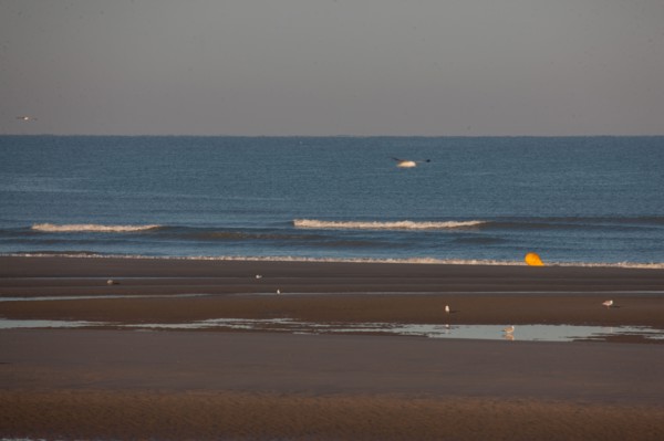 Fort-Mahon-Plage, Baie de Somme