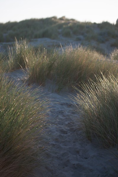 Fort-Mahon-Plage, Baie de Somme