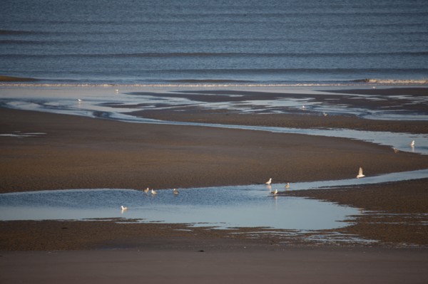 Fort-Mahon-Plage, Baie de Somme