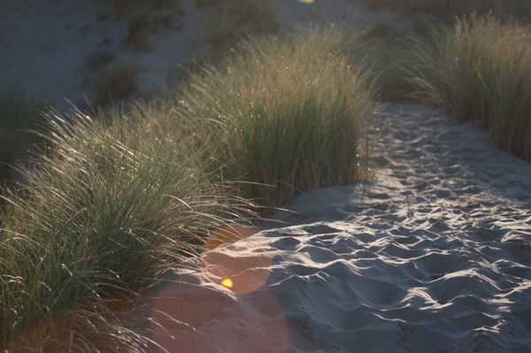 Fort-Mahon-Plage, Baie de Somme