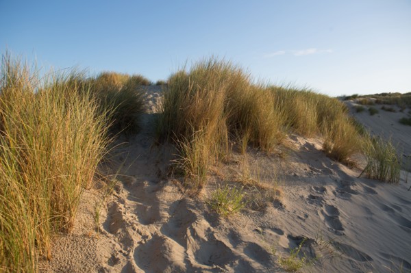 Fort-Mahon-Plage, Baie de Somme