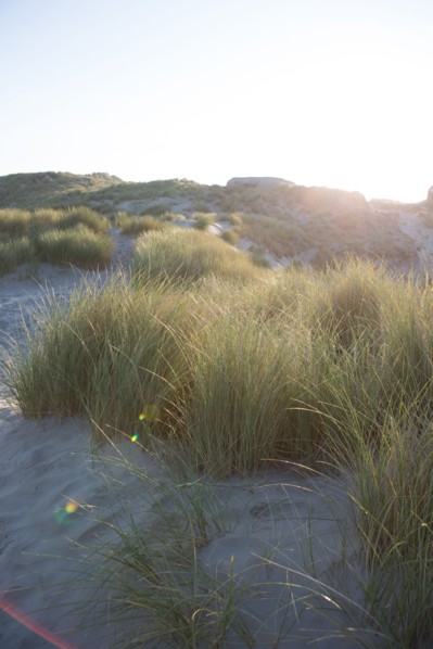 Fort-Mahon-Plage, Baie de Somme