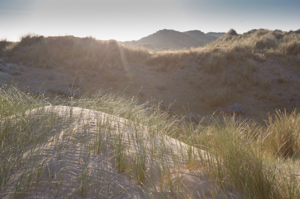 Fort-Mahon-Plage, Baie de Somme