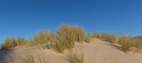 Fort-Mahon-Plage, Baie de Somme