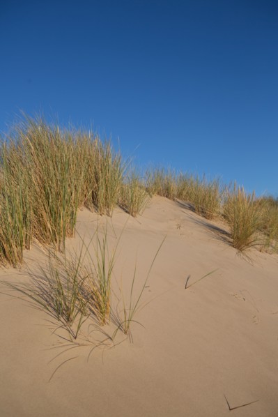 Fort-Mahon-Plage, Baie de Somme