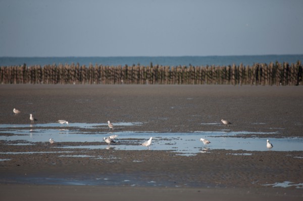 Quend, Somme
