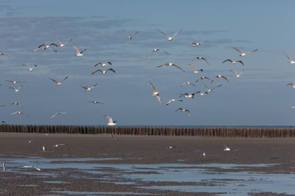 Quend, Somme