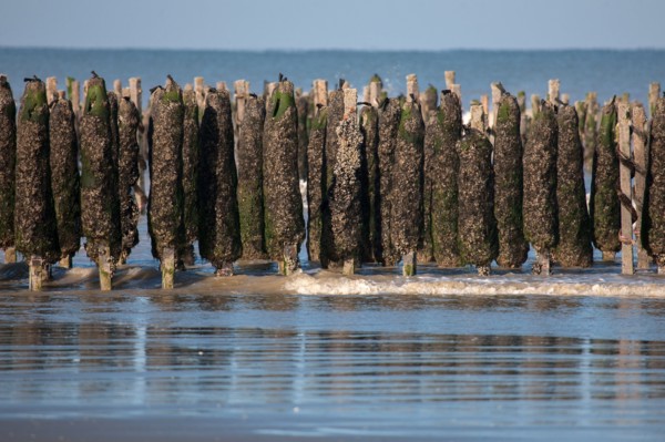 Quend, Somme