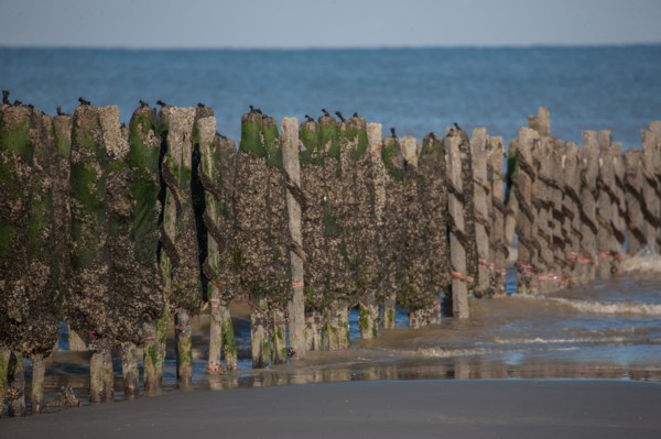 Quend, Somme