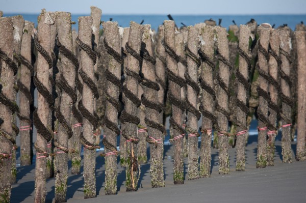 Quend, Somme