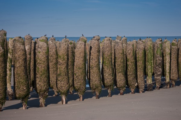 Quend, Somme
