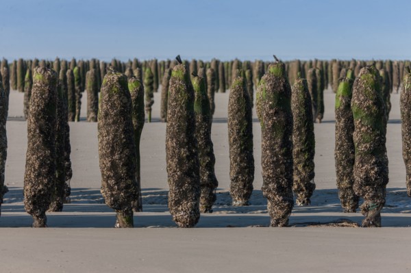 Quend, Somme