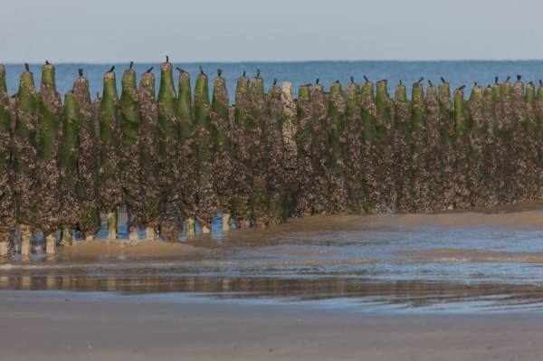Quend, Somme
