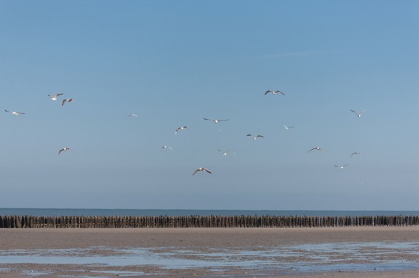 Quend, Somme