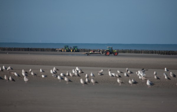 Quend, Somme