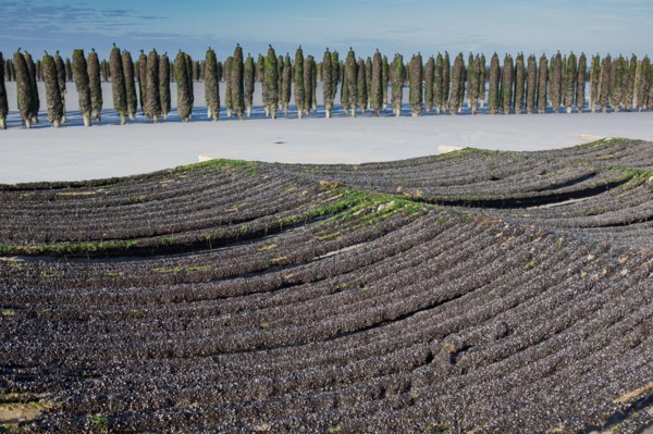 Quend, Somme