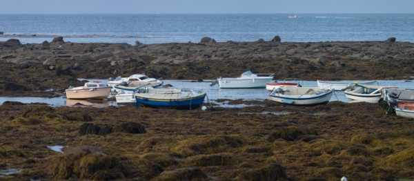 Pointe de Penmarc'h, Finistère Sud