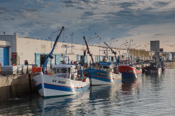 Port de Saint-Guénolé, Finistère Sud