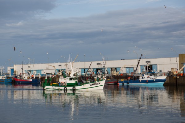 Port de Saint-Guénolé, Finistère Sud