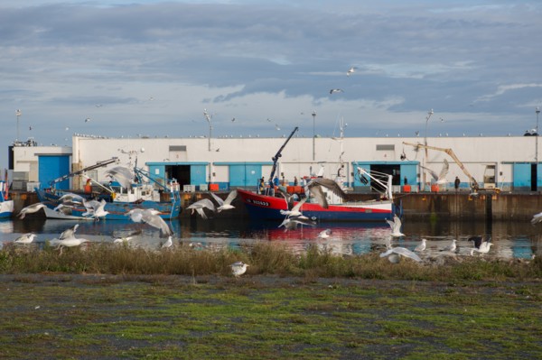 Port de Saint-Guénolé, Finistère Sud