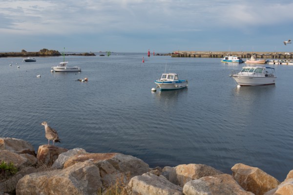 Port de Saint-Guénolé, Finistère Sud