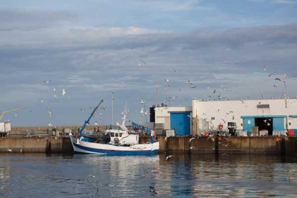 Port de Saint-Guénolé, Finistère Sud