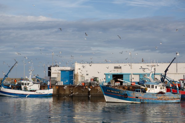 Port de Saint-Guénolé, Finistère Sud