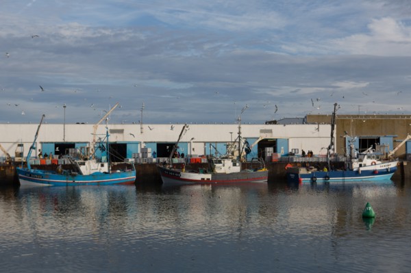 Port de Saint-Guénolé, Finistère Sud